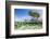 Over and under Water Photograph of a Mangrove Tree , Background Near Staniel Cay, Bahamas-James White-Framed Photographic Print