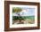 Over and under Water Photograph of a Mangrove Tree , Background Near Staniel Cay, Bahamas-James White-Framed Photographic Print