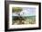 Over and under Water Photograph of a Mangrove Tree , Background Near Staniel Cay, Bahamas-James White-Framed Photographic Print