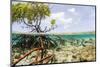 Over and under Water Photograph of a Mangrove Tree , Background Near Staniel Cay, Bahamas-James White-Mounted Photographic Print