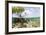 Over and under Water Photograph of a Mangrove Tree , Background Near Staniel Cay, Bahamas-James White-Framed Photographic Print