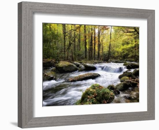 Over Flow II-Danny Head-Framed Art Print