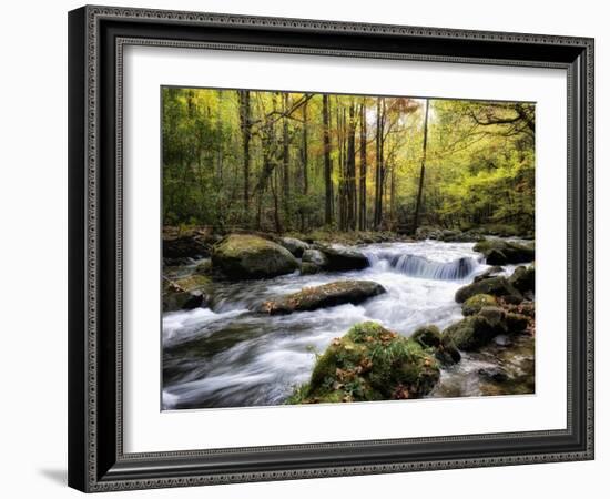 Over Flow II-Danny Head-Framed Art Print