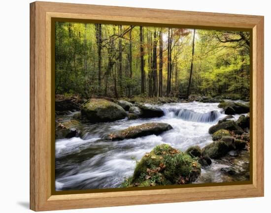 Over Flow II-Danny Head-Framed Stretched Canvas