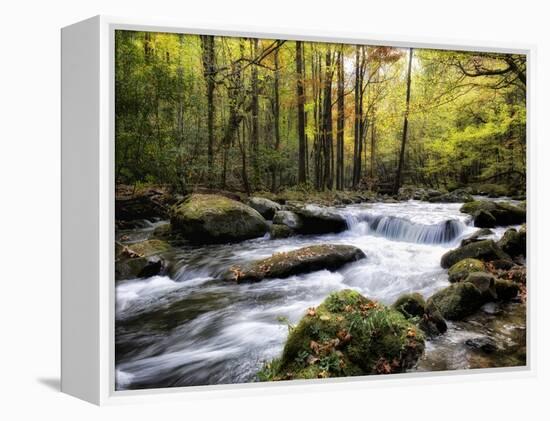 Over Flow II-Danny Head-Framed Stretched Canvas