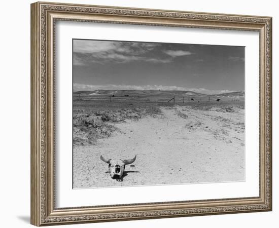 Over Grazed Land-Arthur Rothstein-Framed Photographic Print