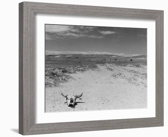 Over Grazed Land-Arthur Rothstein-Framed Photographic Print