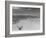 Over Grazed Land-Arthur Rothstein-Framed Photographic Print