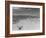 Over Grazed Land-Arthur Rothstein-Framed Photographic Print