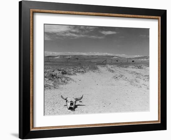 Over Grazed Land-Arthur Rothstein-Framed Photographic Print