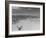 Over Grazed Land-Arthur Rothstein-Framed Photographic Print