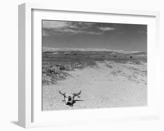 Over Grazed Land-Arthur Rothstein-Framed Photographic Print