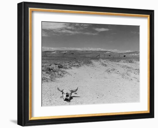 Over Grazed Land-Arthur Rothstein-Framed Photographic Print