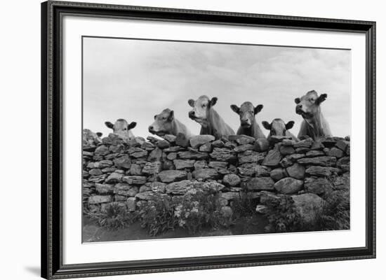 Over Herd-Enrico Straub-Framed Giclee Print