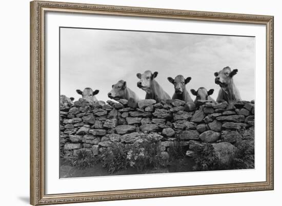 Over Herd-Enrico Straub-Framed Giclee Print