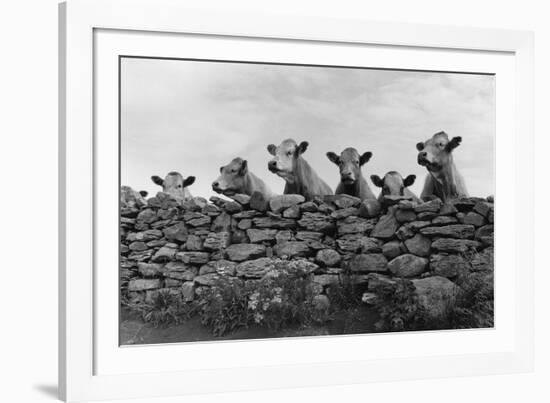 Over Herd-Enrico Straub-Framed Giclee Print