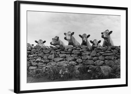 Over Herd-Enrico Straub-Framed Giclee Print