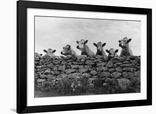 Over Herd-Enrico Straub-Framed Giclee Print