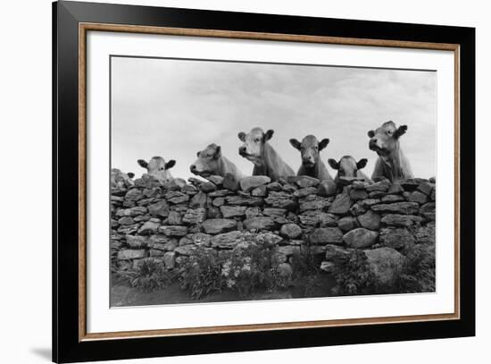 Over Herd-Enrico Straub-Framed Giclee Print