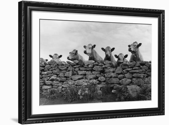 Over Herd-Enrico Straub-Framed Giclee Print