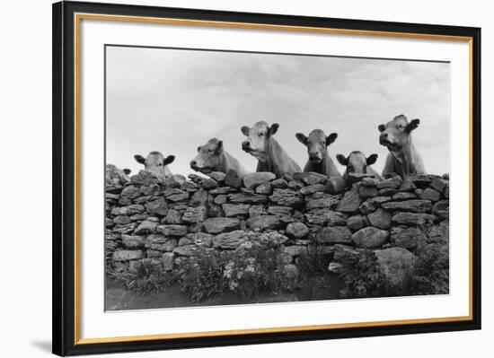 Over Herd-Enrico Straub-Framed Giclee Print