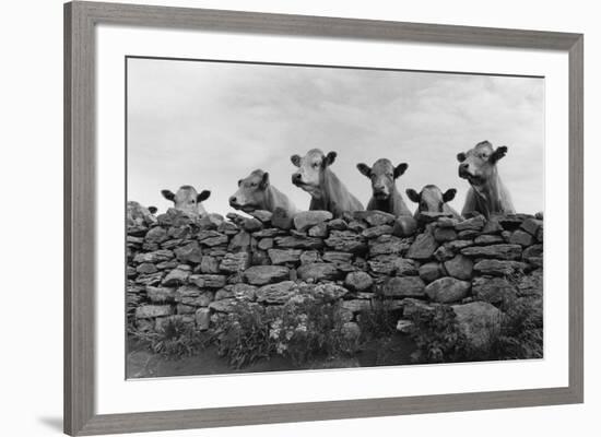 Over Herd-Enrico Straub-Framed Giclee Print