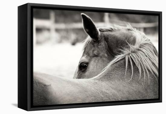 Over His Shoulder-Gail Peck-Framed Premier Image Canvas