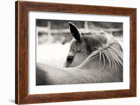 Over His Shoulder-Gail Peck-Framed Photographic Print