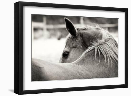 Over His Shoulder-Gail Peck-Framed Photographic Print