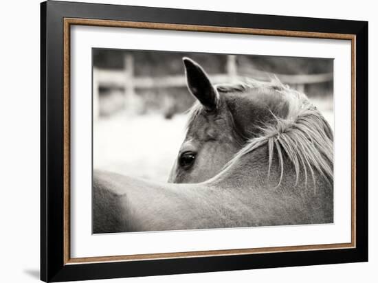 Over His Shoulder-Gail Peck-Framed Photographic Print