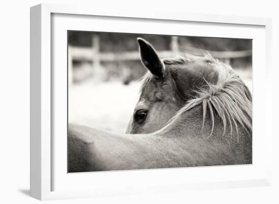 Over His Shoulder-Gail Peck-Framed Photographic Print