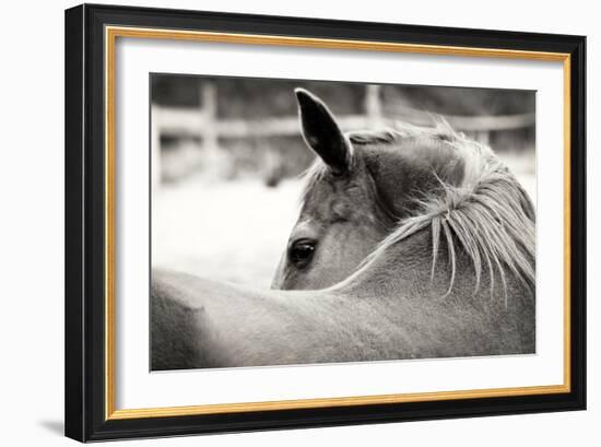 Over His Shoulder-Gail Peck-Framed Photographic Print