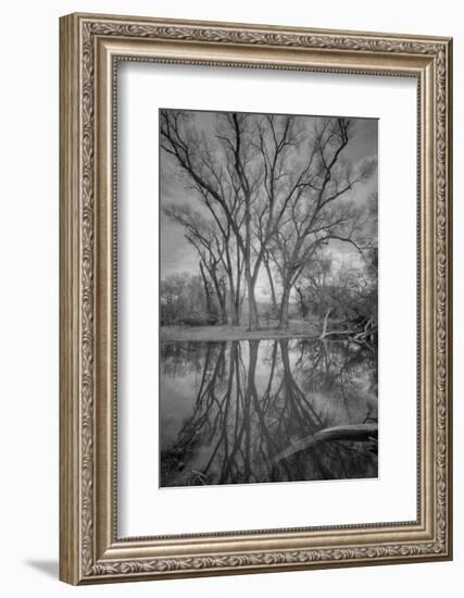 Over Reach-Bob Larson-Framed Art Print