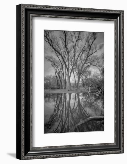 Over Reach-Bob Larson-Framed Art Print