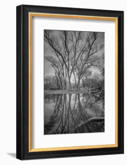 Over Reach-Bob Larson-Framed Art Print