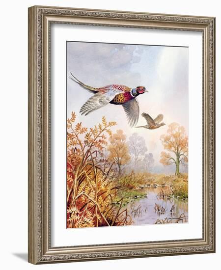 Over the Fen-Carl Donner-Framed Giclee Print