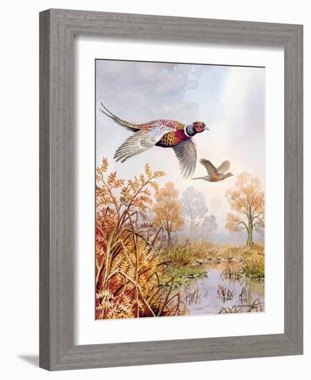 Over the Fen-Carl Donner-Framed Giclee Print