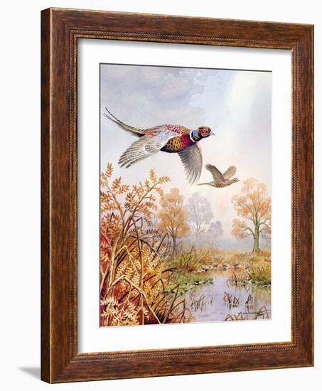 Over the Fen-Carl Donner-Framed Giclee Print