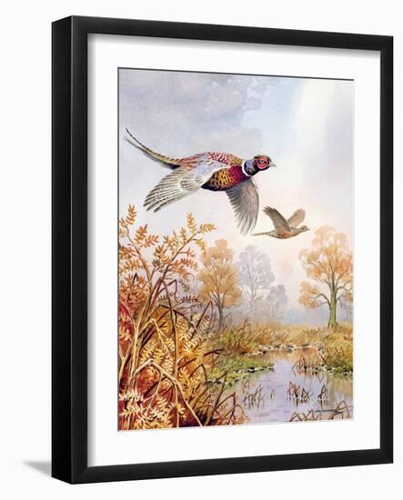 Over the Fen-Carl Donner-Framed Giclee Print