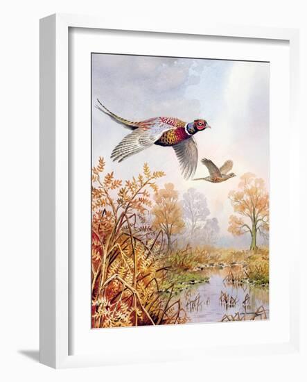 Over the Fen-Carl Donner-Framed Giclee Print