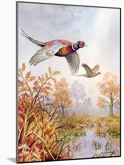 Over the Fen-Carl Donner-Mounted Giclee Print