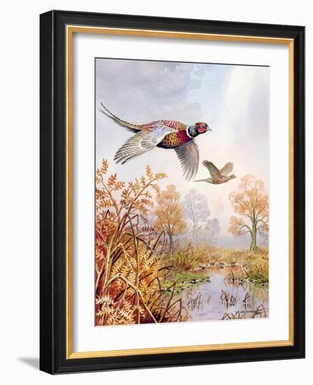 Over the Fen-Carl Donner-Framed Giclee Print