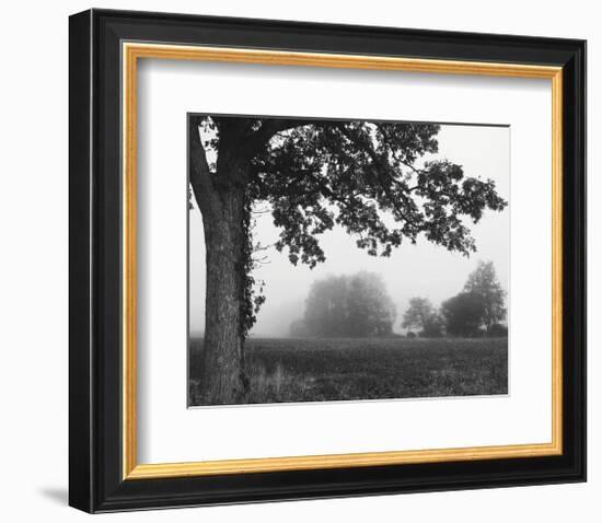 Over the Meadow-Erin Clark-Framed Art Print