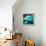 Over The Ocean-Nancy Tillman-Framed Stretched Canvas displayed on a wall