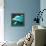 Over The Ocean-Nancy Tillman-Framed Stretched Canvas displayed on a wall