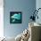 Over The Ocean-Nancy Tillman-Framed Stretched Canvas displayed on a wall