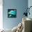 Over The Ocean-Nancy Tillman-Framed Stretched Canvas displayed on a wall