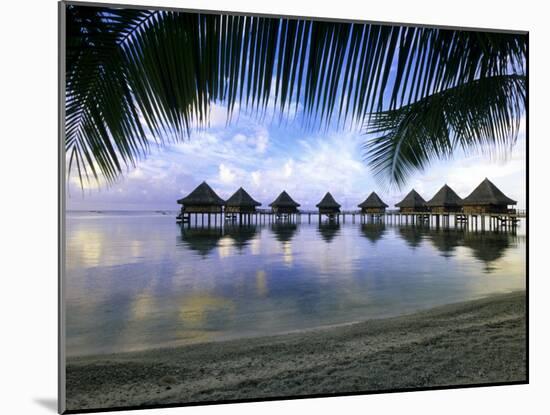 Over Water Bungalows, Rangiroa, French Polynesia-Michael DeFreitas-Mounted Photographic Print