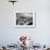 Overall of Courtroom During Trial of Two White Men for the Murder of Black Teenager Emmett Till-Ed Clark-Framed Photographic Print displayed on a wall