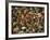 Overall of the Huge Crowd, During the Woodstock Music and Art Fair-John Dominis-Framed Photographic Print